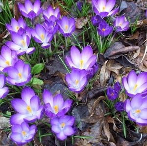 Meet your Posher, Martha